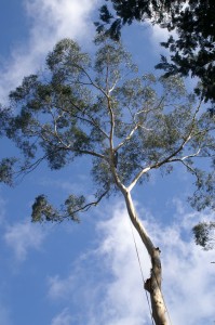 Badger Creek